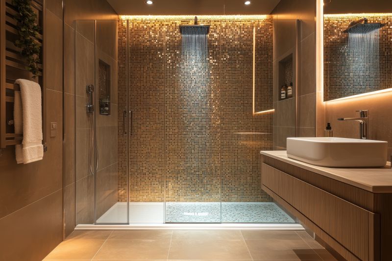 Stylish Shower Niche